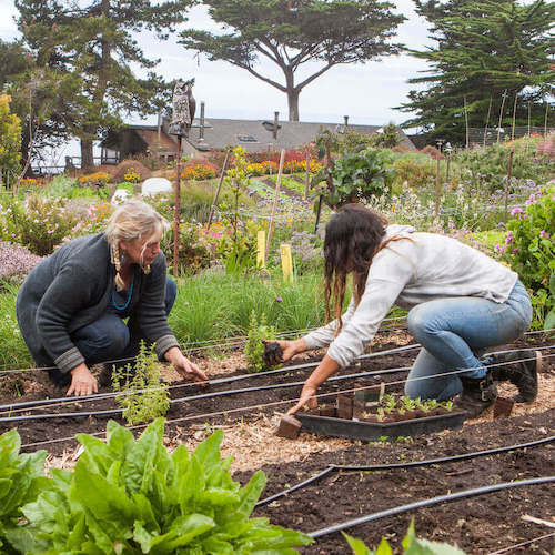 The programs featured image