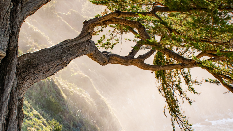 The programs featured image