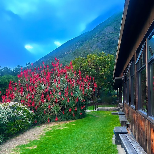 The programs featured image