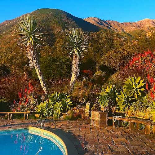 The programs featured image