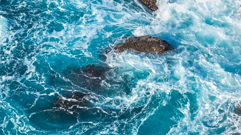 The programs featured image