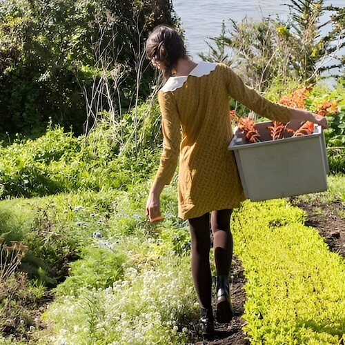 The programs featured image