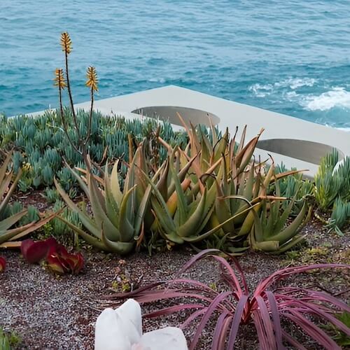 The programs featured image