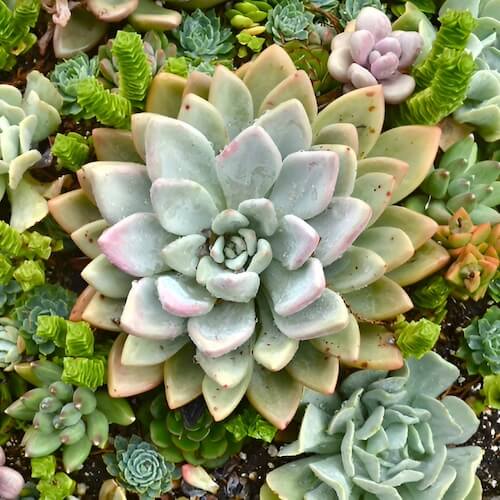 The programs featured image