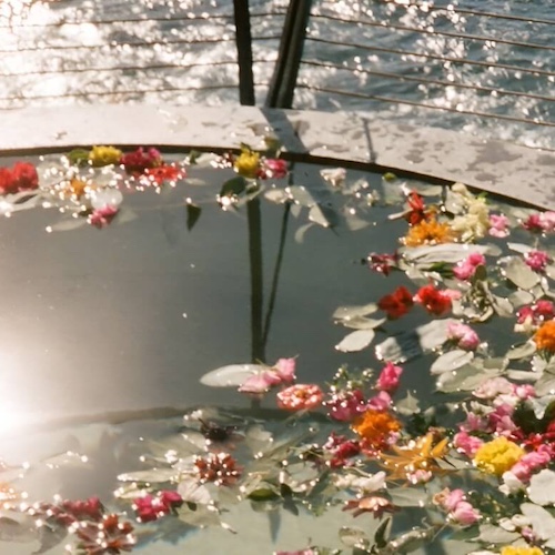 The programs featured image