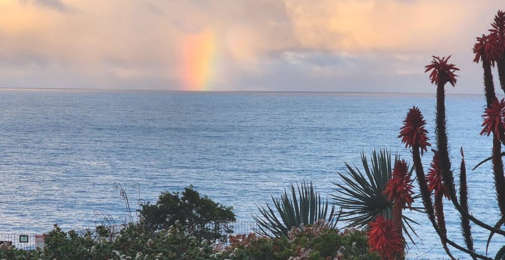 The programs featured image